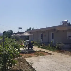 https://rey-garden-villa.albaniahotels.org